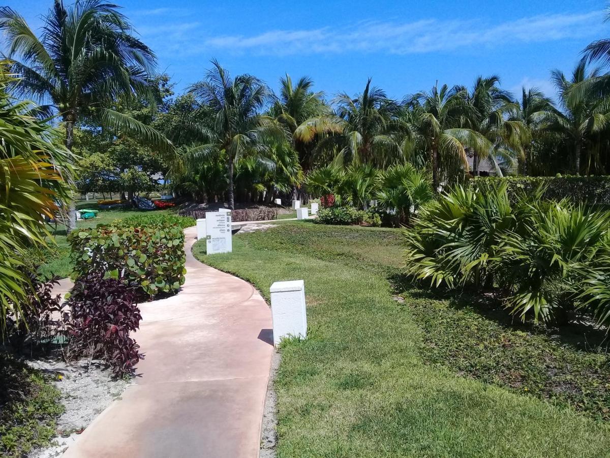 Appartement Swim The Caribbean & Work With A View à Cancún Extérieur photo