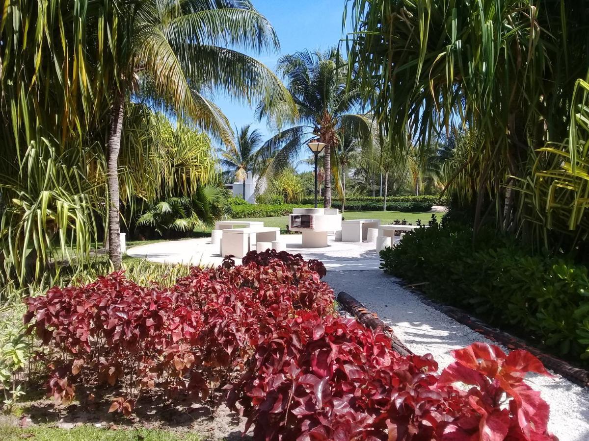 Appartement Swim The Caribbean & Work With A View à Cancún Extérieur photo