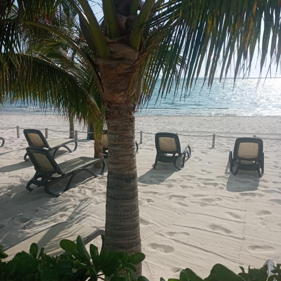 Appartement Swim The Caribbean & Work With A View à Cancún Extérieur photo